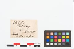 Etikett zu Perlenkette (NHMW-PRAE-026857)